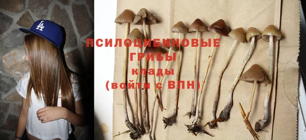 ALPHA PVP Зерноград