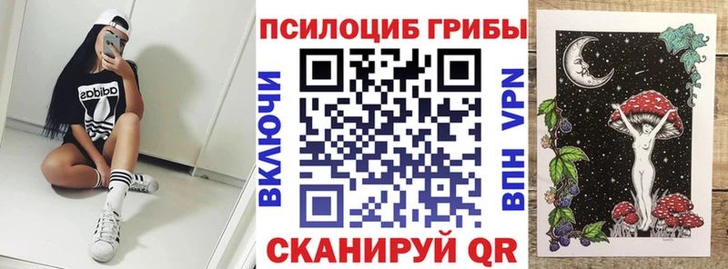 Псилоцибиновые грибы мухоморы  Купить  Богородицк 